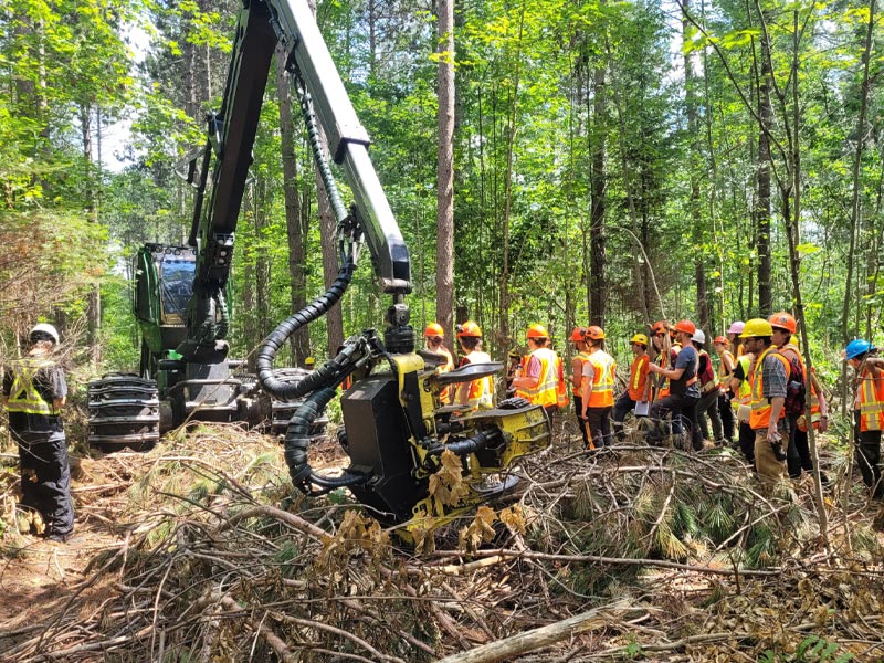 Plantation-Forest-Management-Bancroft-Ontario